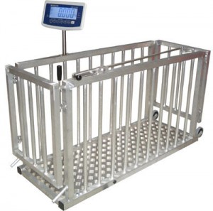 68b2b0d421 CÂN ĐIỆN TỬ SÀN 1Tấn(T),2T,3T,5T,10T,15T,20T,30T Cân công nghiệp 