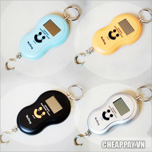 Cân điện tử cầm tay mini