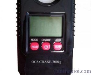 bed5af3a86-298x248 Crane-Cân Treo Điện Tử OCS 300kg Cân treo công nghiệp 