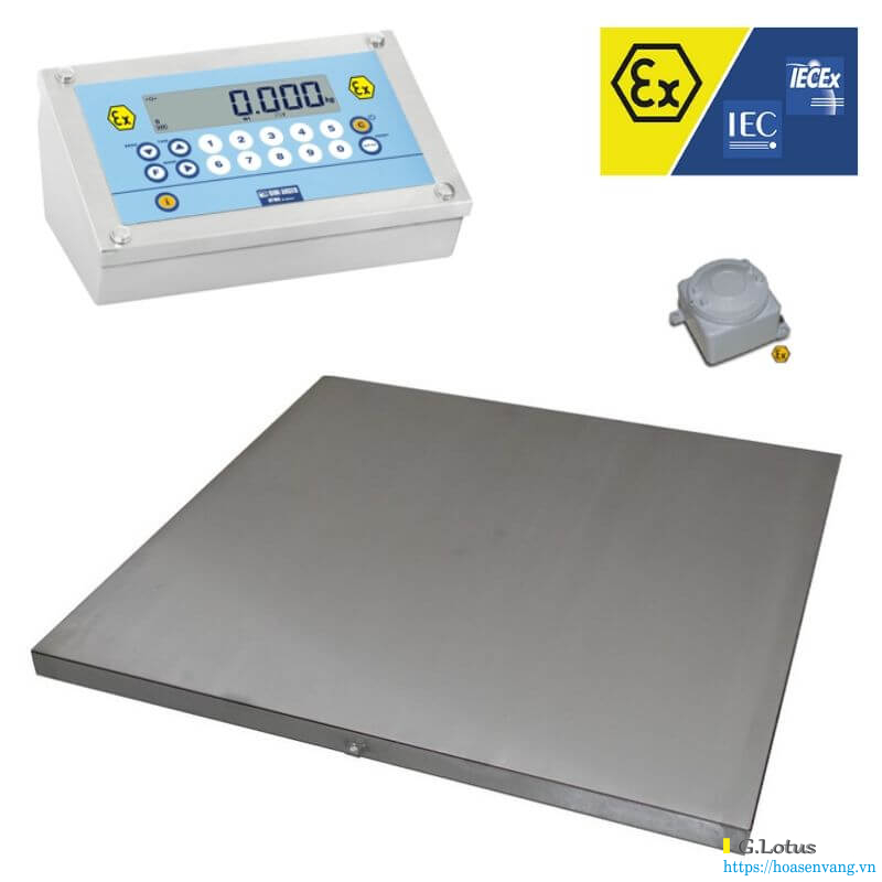 can-dien-tu-chong-chay-no-atex-dini-argeo-hoa-sen-vang-qaetr61 Phương án cân điện tử chống cháy nổ Dini Argeo đạt ATEX CTY Hoa Sen Vàng Cân thế giới 