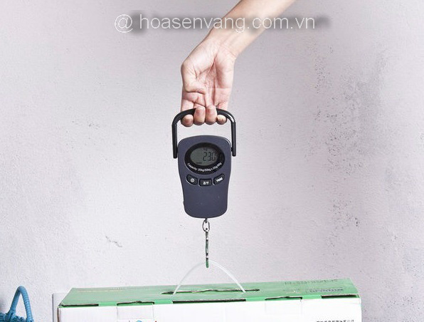 can-treo-dgl-digital-scale-3 🎯 Cân treo xách tay DGL – giải pháp lý tưởng cho mọi gia đình ⚖️👜 – Gọi ngay để sở hữu tại Hoa Sen Vàng 📞💼 Cân thế giới 