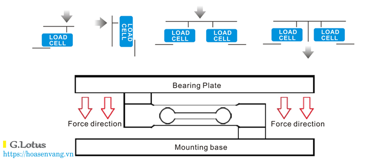 cam-bien-tai-trong-diem-don-loadcell-hoasenvang-com-vn-3 Cảm biến đo khối lượng dạng điểm đơn có gì đặc biệt? Hãy cùng khám phá Cân thế giới cam-bien-tai-trong-diem-don-loadcell-hoasenvang-com-vn-3 Cảm biến đo khối lượng dạng điểm đơn có gì đặc biệt? Hãy cùng khám phá Cân thế giới