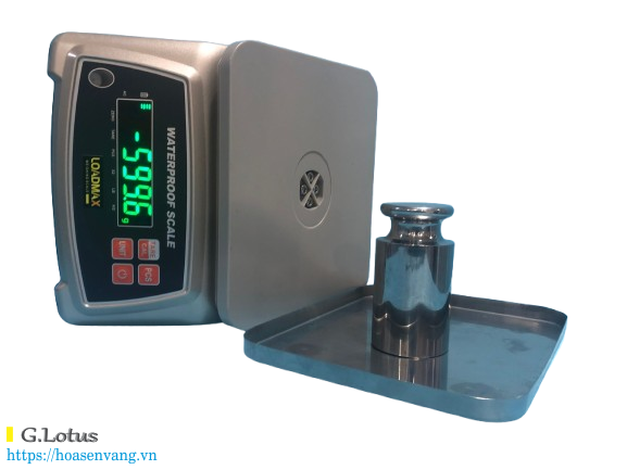 can-dien-tu-zw-5806-chong-nuoc-loadmax-7463 Cân Thông Minh Chống Nước ZW‑5806 Loadmax – Phương Án Đo Trọng Lượng Chính Xác, Vững Chắc Giữa Không Gian Thử Thách Cân thế giới 